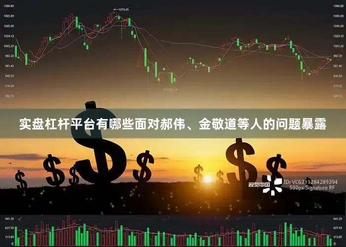 实盘杠杆平台有哪些面对郝伟、金敬道等人的问题暴露